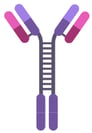 antibody-color