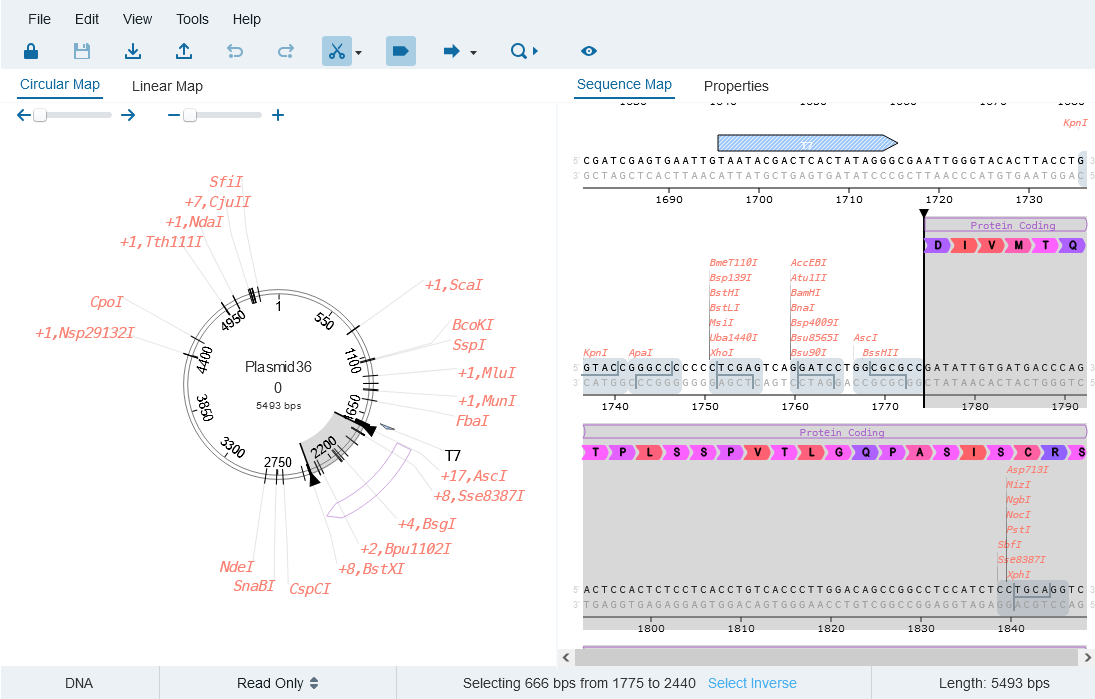 Screenshot 2024-08-21 at 10-24-38 Expression Vector Plasmid360 - StackWave LIMS Screenshot 2024-08-21 at 10-24-38 Expression Vector Plasmid360 - StackWave LIMS